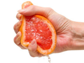 squeeze-255.png squeeze-255.png